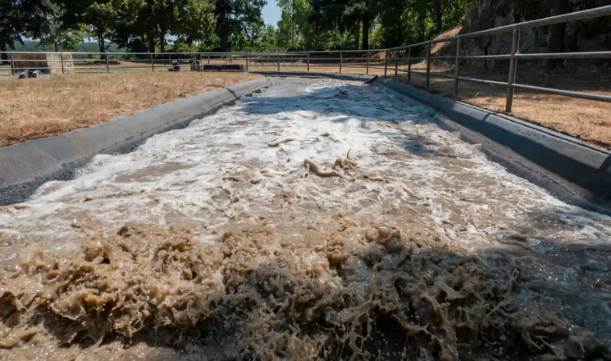 Decantação de água: etapas, eficiência e aplicações