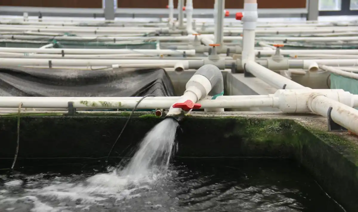 Flotação no tratamento de água: o que é e como funciona o processo