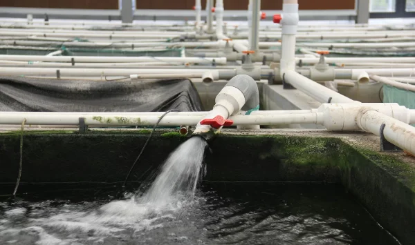 Flotação no tratamento de água: o que é e como funciona o processo